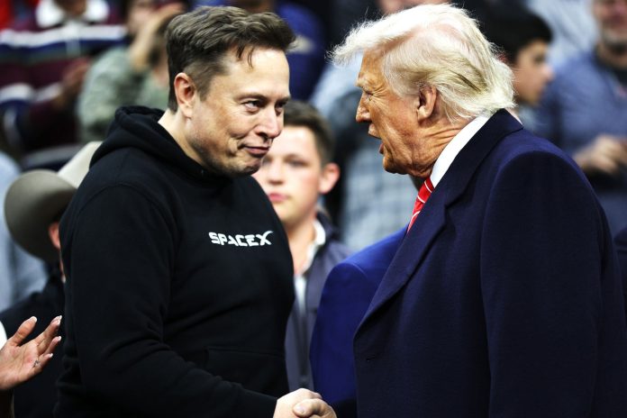 elon