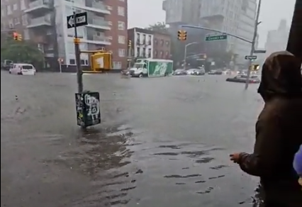 NY